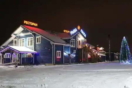 Рыба-пила - 14