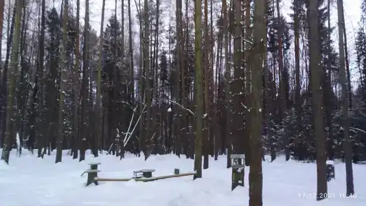 СмородинаХаус - 99