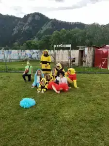 Пасека 13 - 50