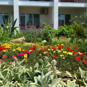 Пансионат Дельта - 39