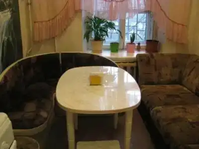Антуриум - 25