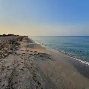 Ковчег - 8