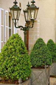 Hôtel d'Argouges - 5