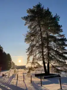 T-Park, тренинговый парк - 81