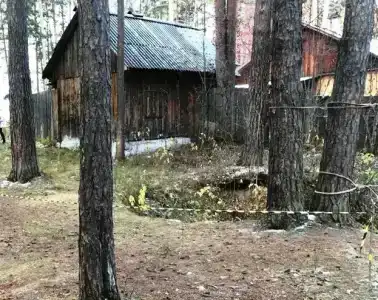 Серебряное копытце - 15