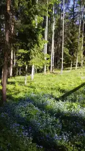 База Сокол, озеро Глубокое - 42