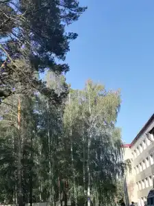 Жемчужный - 9