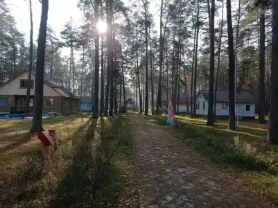 Новокемп - 10