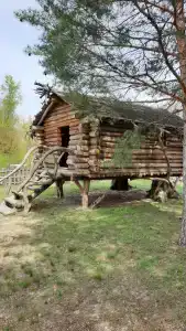 Простоквашино - 79