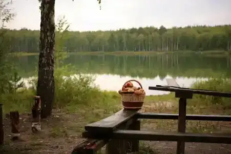 Дубки-В гостях у сказки - 92
