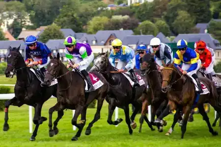 Holiday Inn Express Deauville Sud, An Ihg - 2