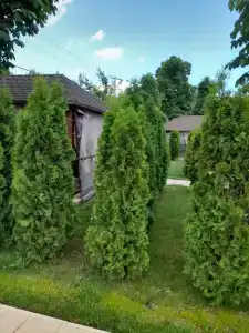 Сок - 39