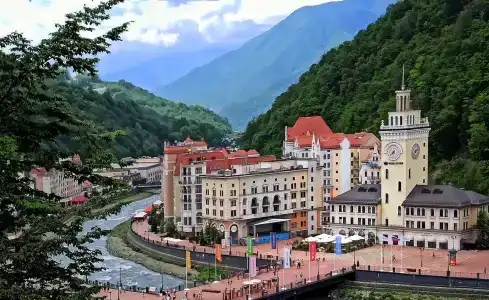 Голден Тюлип - 77