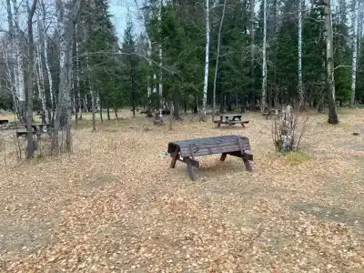 Медвежий камень - 11
