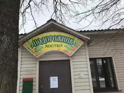 Подорожник - 0
