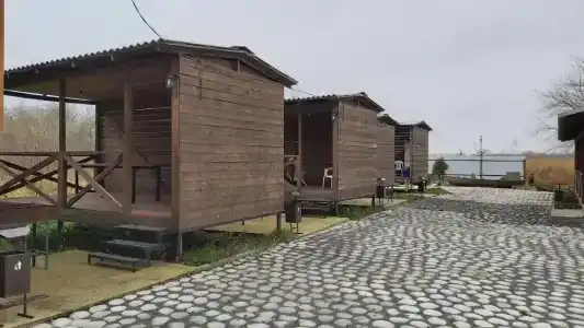 Пиранья - 0