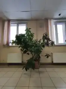 Экоотель - 15