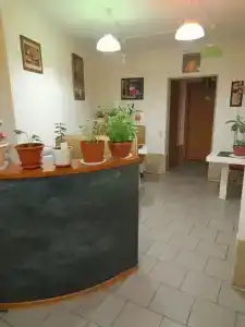 Новый - 1