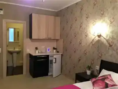 Крокус Стар - 39