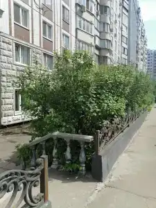 Черемушки - 8