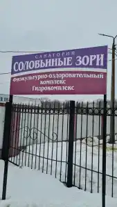 Соловьиные зори - 26