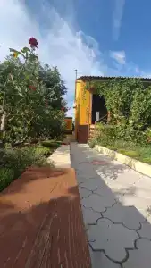 Вилла Гармония - 12