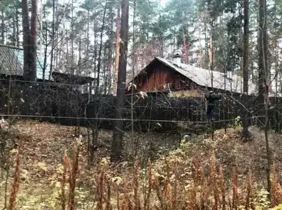 Серебряное копытце - 5
