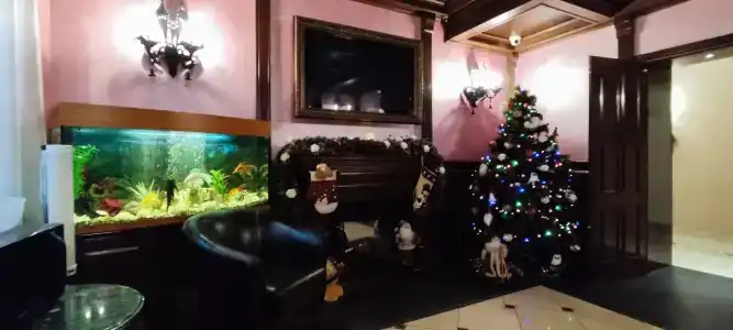 Ренессанс - 99