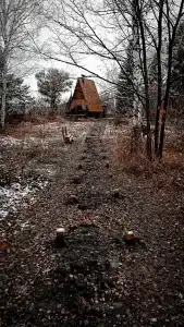 Шушенский бор - 26