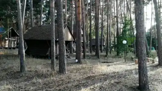 Сосенка - 5