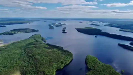 Медвежий угол - 41