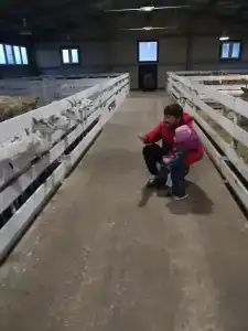 Александровский спас - 95