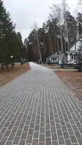Галдым - 47