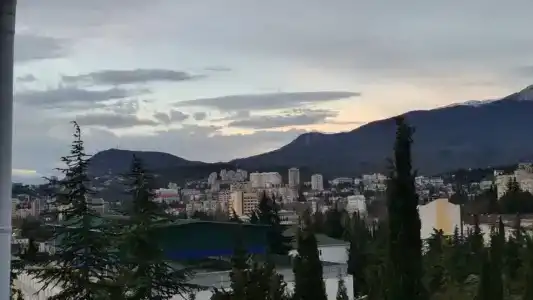 Магнолия - 60
