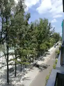Coconut Tree Hulhuvilla Beach - 7