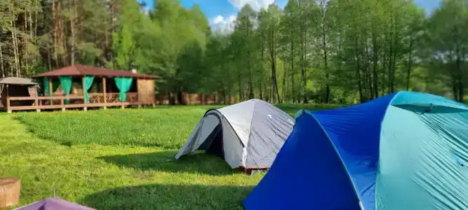 Лесной Эдем - 71