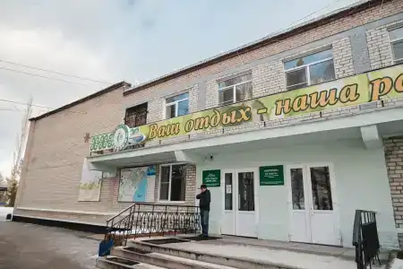Березки