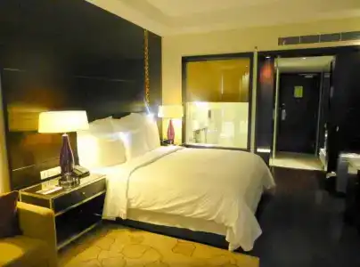 Jaipur Marriott - 37