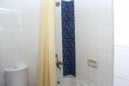 Narain Niwas Palace - 55