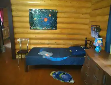 Бревенчатый дом в лесу - 16