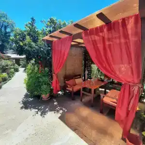 Усадьба Пантелея - 21