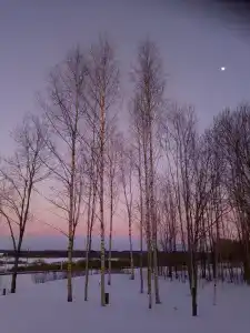 Зимнегорье - 43