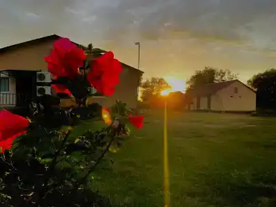 Заманиха - 40