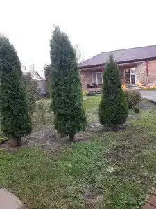 Угодье ветряных мельниц - 48