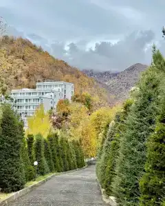 Ласточкино гнездо - 0