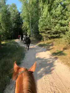 Гостецкий двор - 20