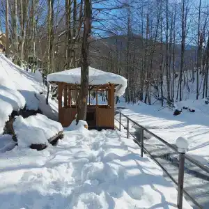 Горный воздух - 16