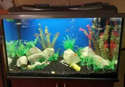 Тихая Гавань - 98