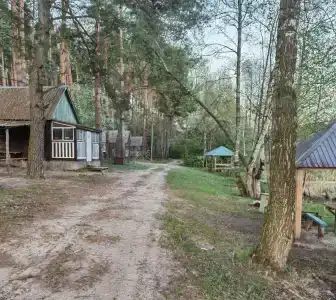 Селькин пруд - 6