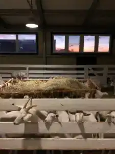 Александровский спас - 45